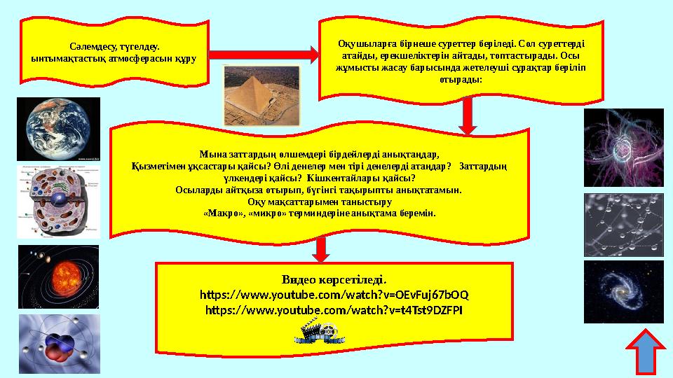 Сәлемдесу, түгелдеу. ынтымақтастық атмосферасын құру Оқушыларға бірнеше суреттер беріледі. Сол суреттерді атайды, ерекшеліктер