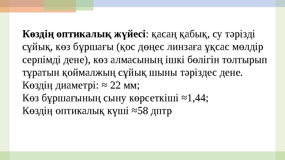 Көздің оптикалық жүйесі : қасаң қабық, су тәрізді сұйық, көз бұршағы (қос дөңес линзаға ұқсас мөлдір серпімді дене), көз алмас