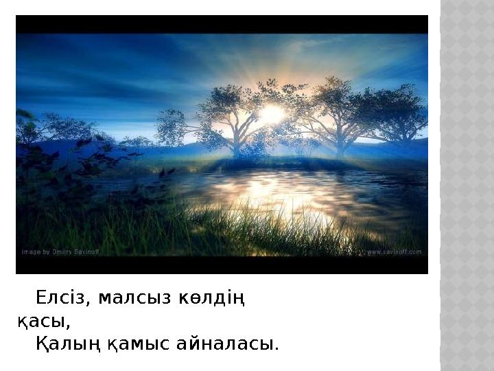 Л Елсіз, малсыз көлдің қасы, Қалың қамыс айналасы.