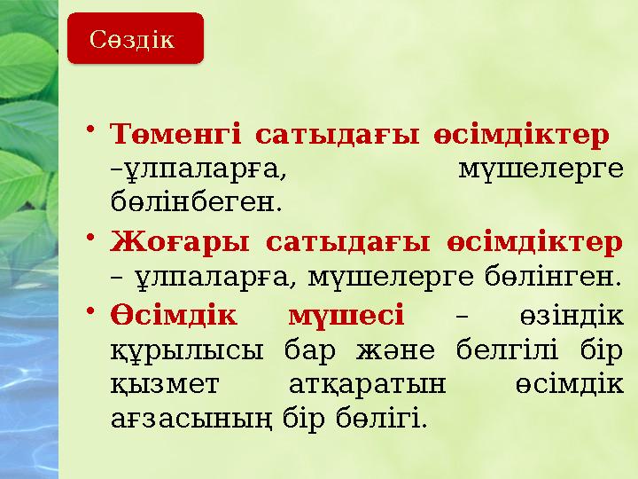 • Төменгі сатыдағы өсімдіктер – ұлпаларға, мүшелерге бөлінбеген. • Жоғары сатыдағы өсімдіктер – ұлпаларға, мүшелерге