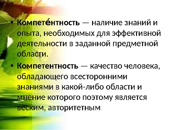 • Компет нтность«Ш — наличие знаний и опыта, необходимых для эффективной деятельности в заданной предметной области. • Комп