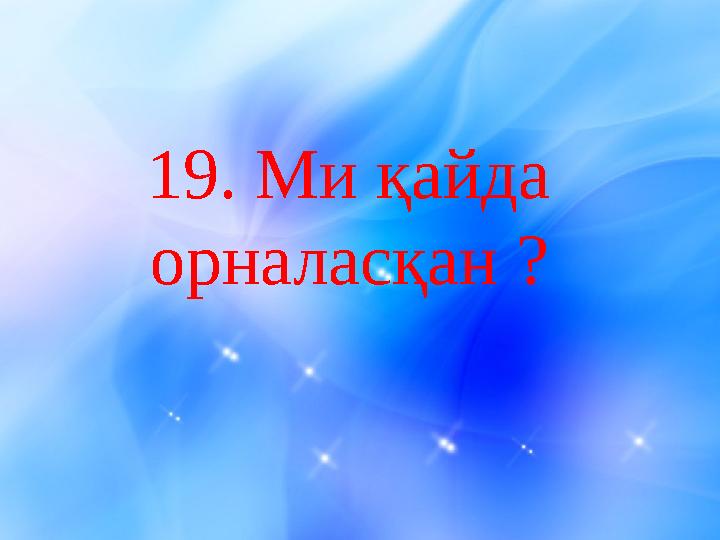 19. Ми қайда орналасқан ?