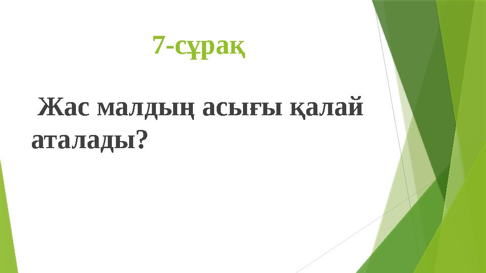 7-сұрақ Жас малдың асығы қалай аталады?