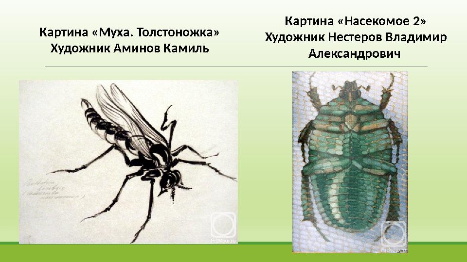 Картина «Муха. Толстоножка» Художник Аминов Камиль Картина «Насекомое 2» Художник Нестеров Владимир Александрович