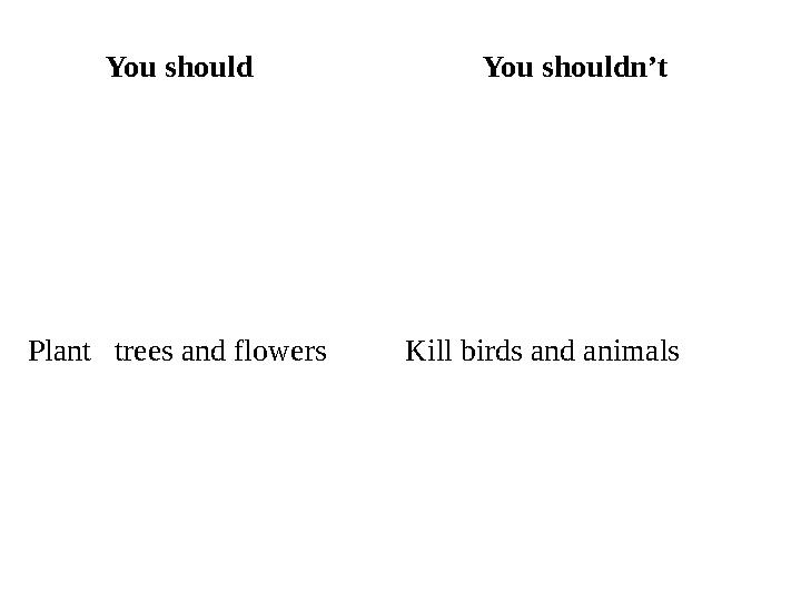 You should You shouldn’t Plant trees and flowers Kill birds and animals