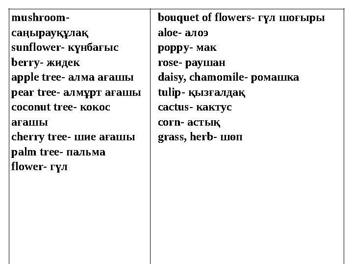 mushroom- саңырауқұлақ sunflower- күнбағыс berry- жидек apple tree- алма ағашы pear tree- алмұрт ағашы coconut tree- коко