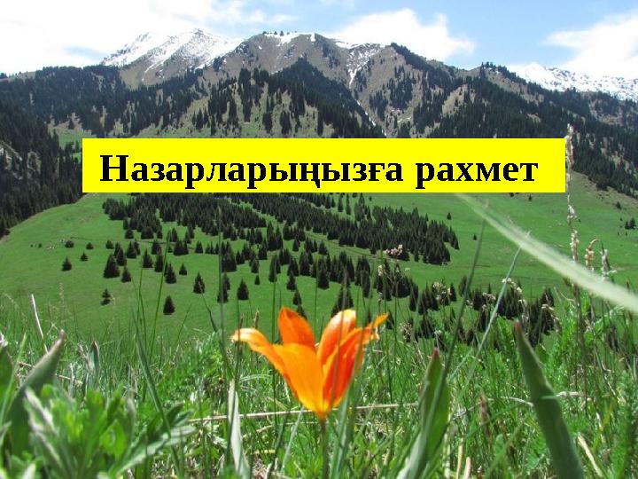 Назарларыңызға рахмет