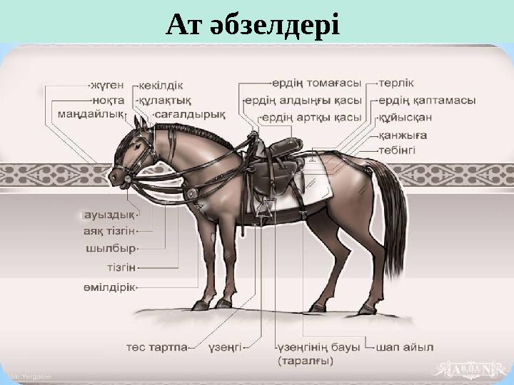 Ат әбзелдері