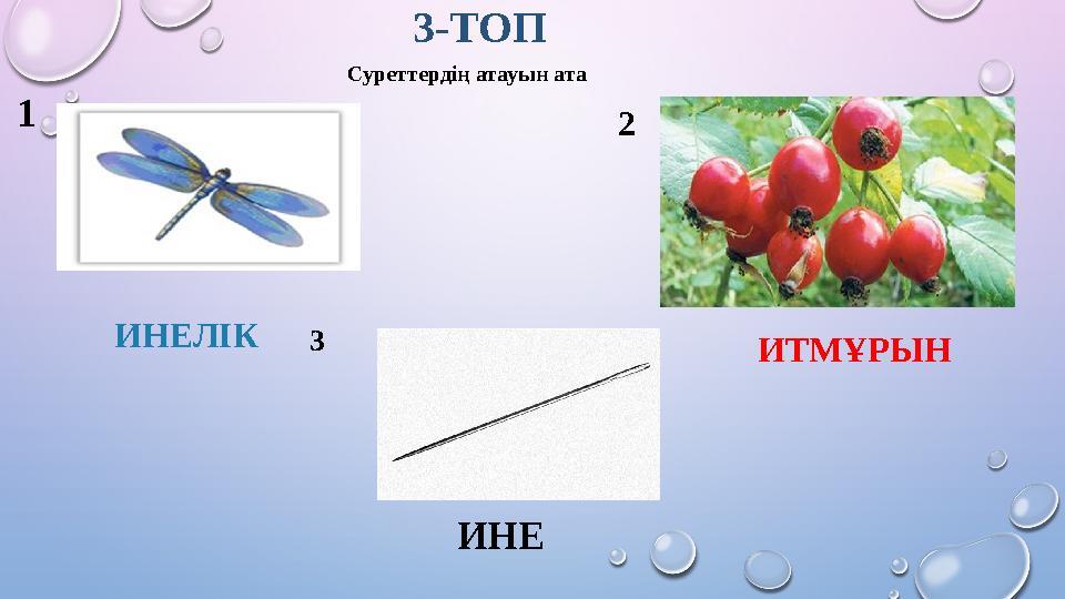 3-ТОП ИТМҰРЫНИНЕЛІК ИНЕСуреттердің атауын ата 1 3 2