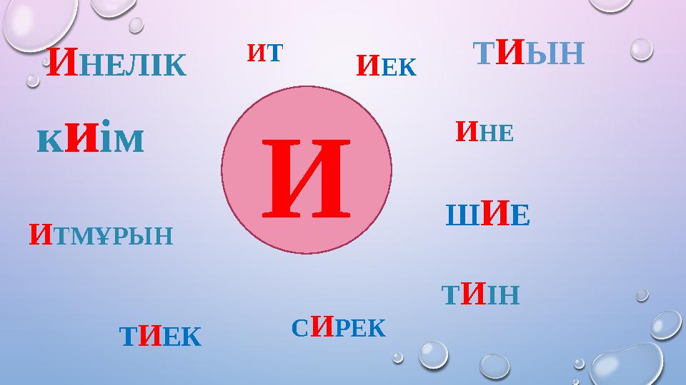 И НЕЛІК И НЕ И Т И ЫН к и ім Т И ІНШ И Е И ТМҰРЫН И Т Т И ЕК С И РЕК И ЕК
