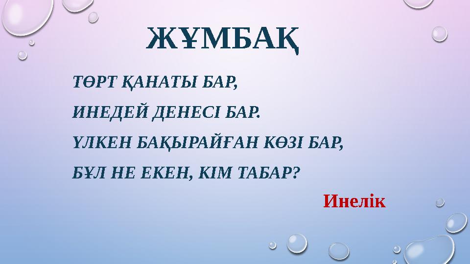 ЖҰМБАҚ ТӨРТ ҚАНАТЫ БАР, ИНЕДЕЙ ДЕНЕСІ БАР. ҮЛКЕН БАҚЫРАЙҒАН КӨЗІ БАР, БҰЛ НЕ ЕКЕН, КІМ ТАБАР? Инелік