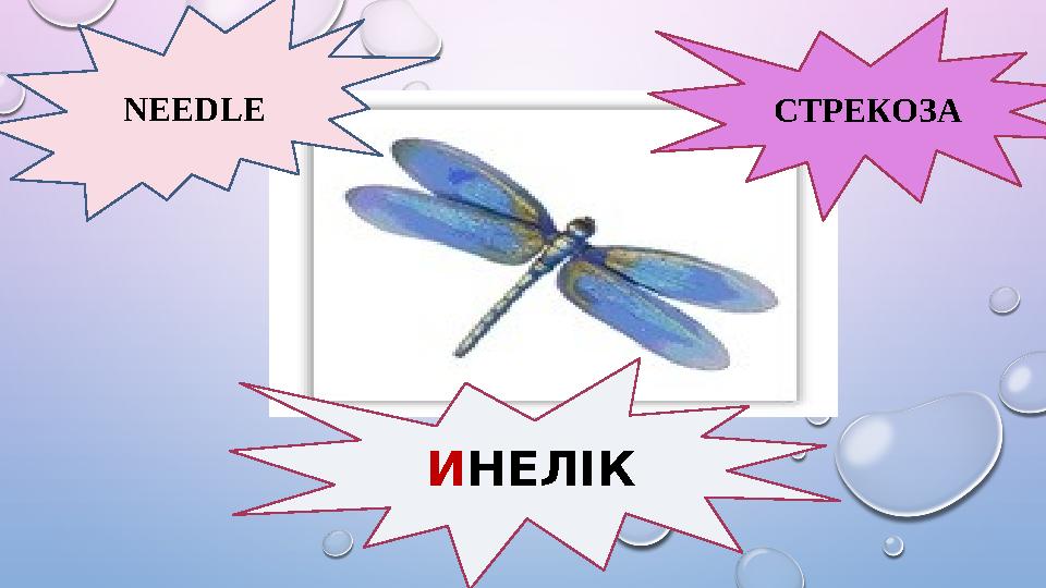 NEEDLE СТРЕКОЗА И НЕЛІК