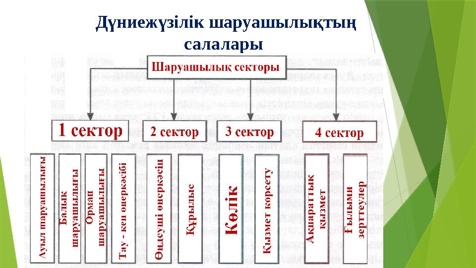 Дүниежүзілік шаруашылықтың салалары