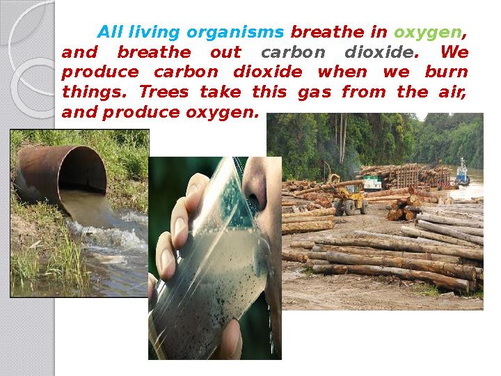 All living organisms breathe in oxygen , and breathe out carbon dioxide . We produce carbon dioxide when we
