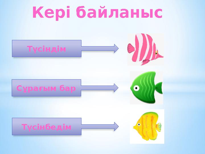 Кері байланыс Түсіндім Сұрағым бар Түсінбедім