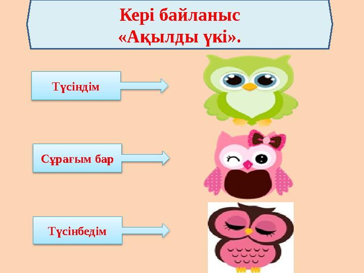 Кері байланыс «Ақылды үкі». Сұрағым бар Түсінбедім Түсіндім