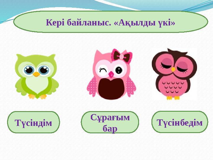 Кері байланыс. «Ақылды үкі» Түсіндім Сұрағым бар Түсінбедім