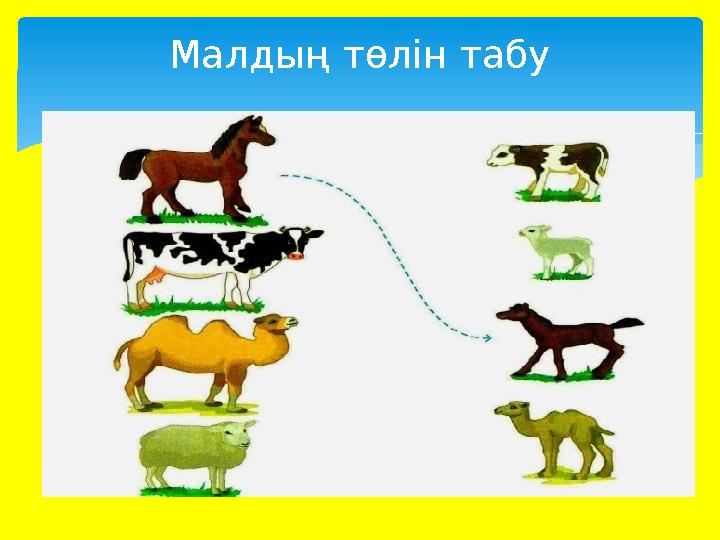 Малдың төлін табу