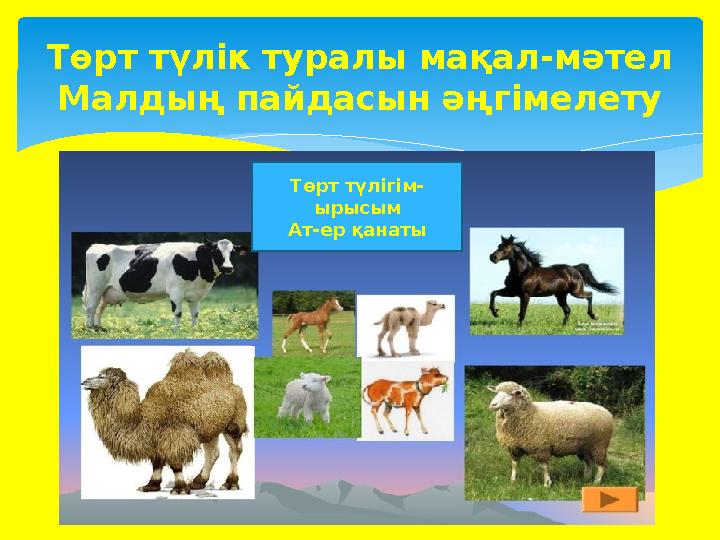 Төрт түлік туралы мақал-мәтел Малдың пайдасын әңгімелету Төрт түлігім- ырысым Ат-ер қанаты