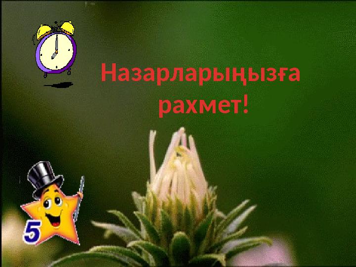 Назарларыңызға рахмет!