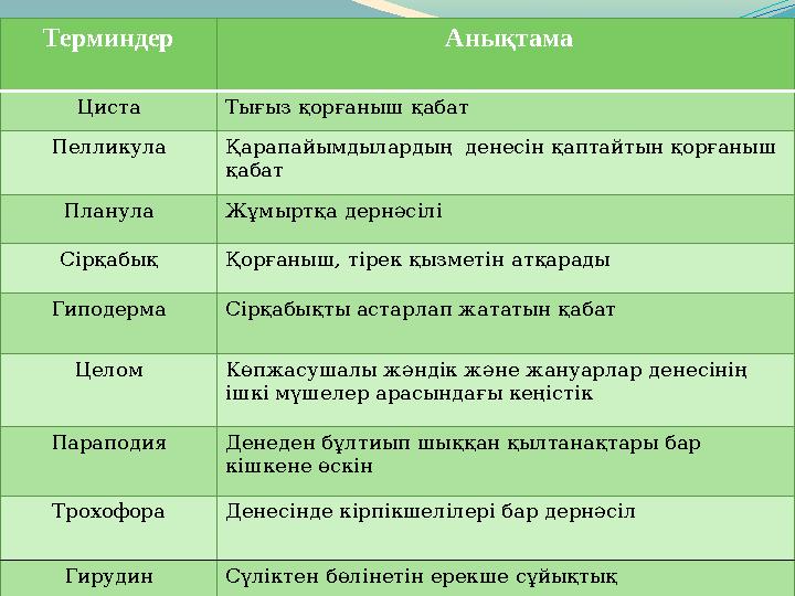 Терминдер Анықтама Циста Тығыз қорғаныш қабат Пелликула Қарапайымдылардың денесін қаптайтын қорғаныш қабат Планула Жұмыртқа