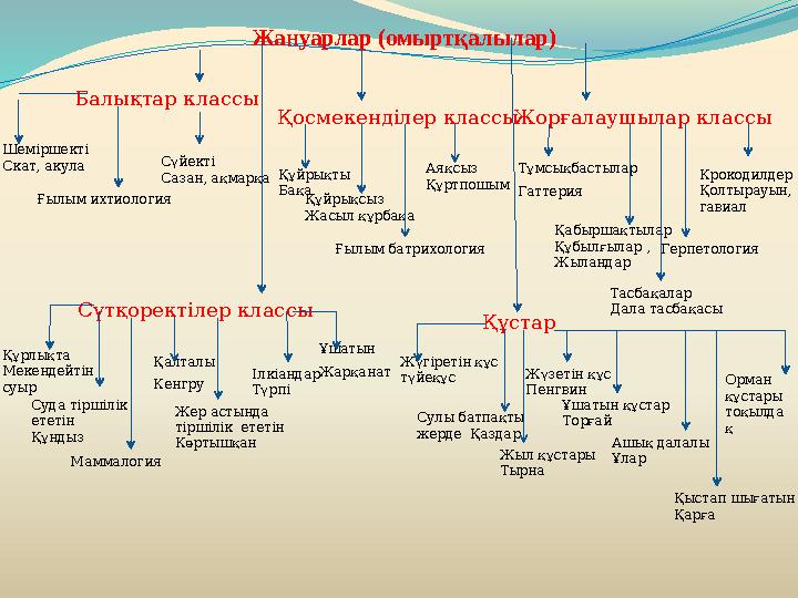 Жануарлар (омыртқалылар) Балықтар классы Шеміршекті Скат, акула Сүйекті Сазан, ақмарқа Ғылым ихтиология Қосмекенділер клас