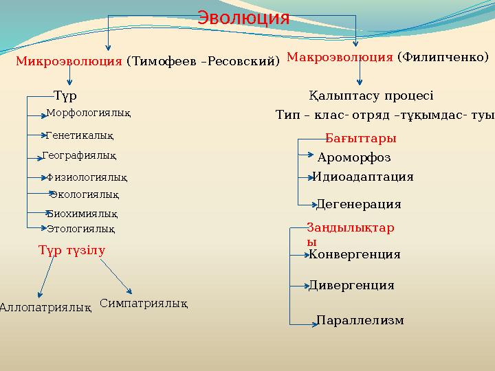 Эволюция Микроэволюция ( Тимофеев – Ресовский) Макроэволюция (Филипченко) Т үр Морфологиялық Генетикалық Физиологиялық