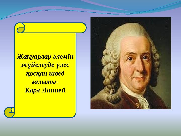 Жануарлар әлемін жүйелеуде үлес қосқан швед ғалымы- Карл Линней