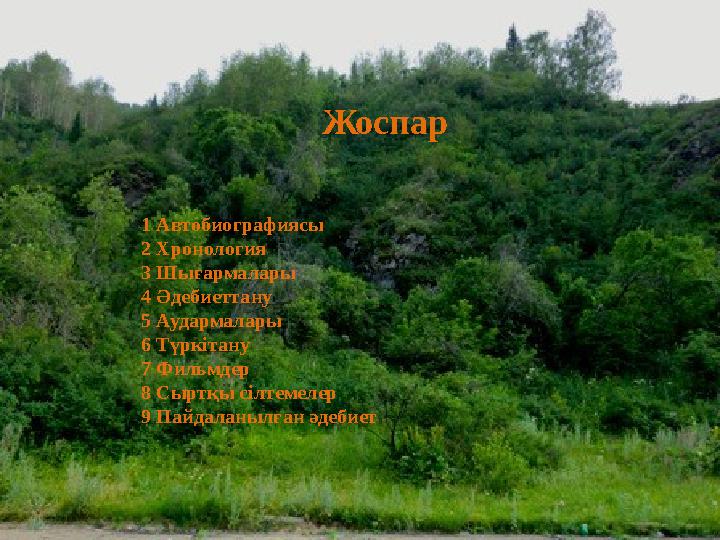 1919 жылы наурызға дейін Алашорда үкіметінің Торғай облысы бөлімінің мүшесі болды. Байтұрсынұлы 1919 жылы наурызда Алашорда үкі