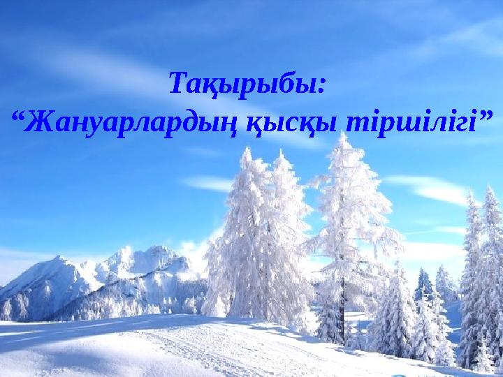 img_page_1