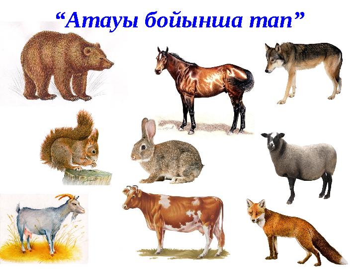 “ Атауы бойынша тап”