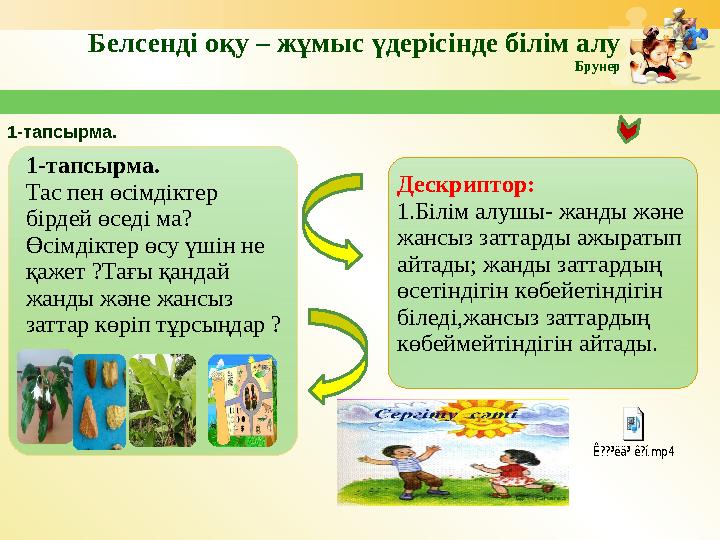 Белсенді оқу – жұмыс үдерісінде білім алу Брунер 1-тапсырма. Дескриптор: 1.Білім алушы- жанды және жансыз заттарды ажыратып а