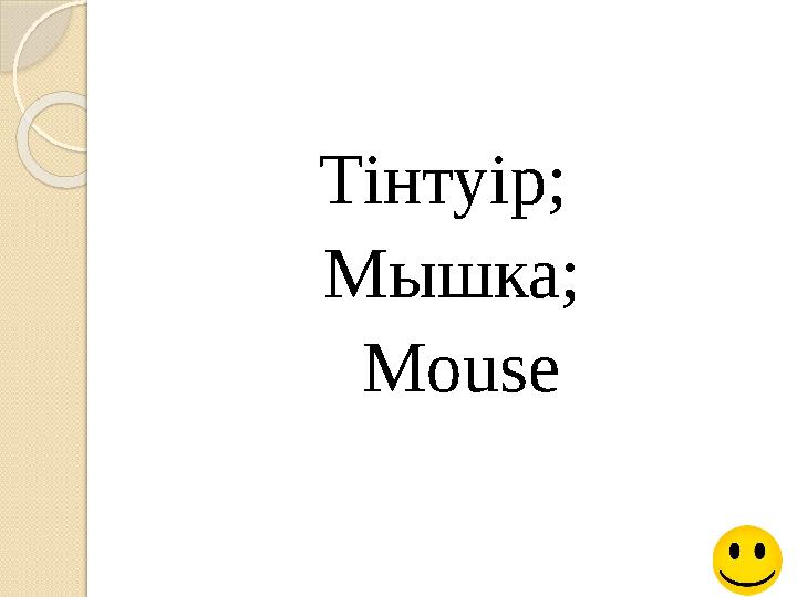 Тінтуір; Мышка; Mouse