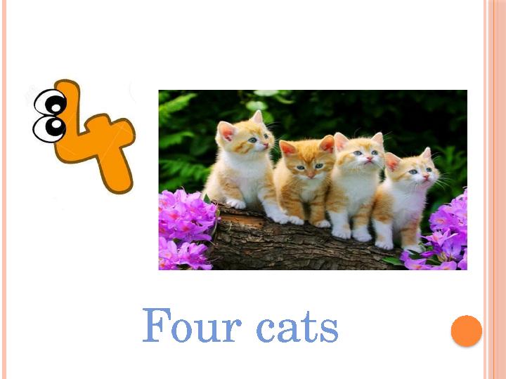 Four cats