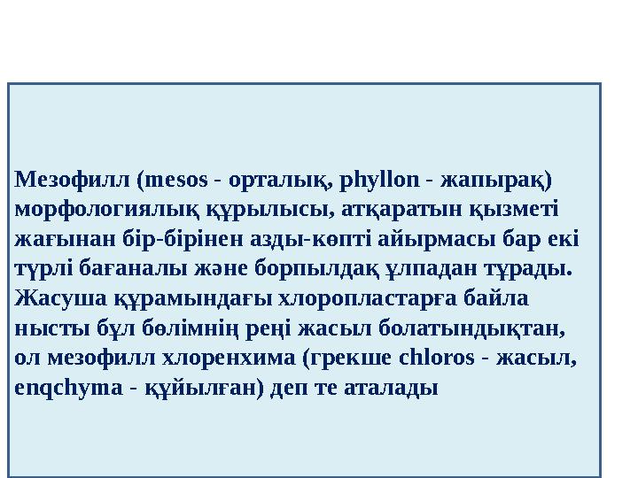 Мезофилл ( mesos - орталық, phyllon - жапырақ) морфологиялық құрылысы, атқаратын қызметі жағынан бір-бірінен азды-көпті айы