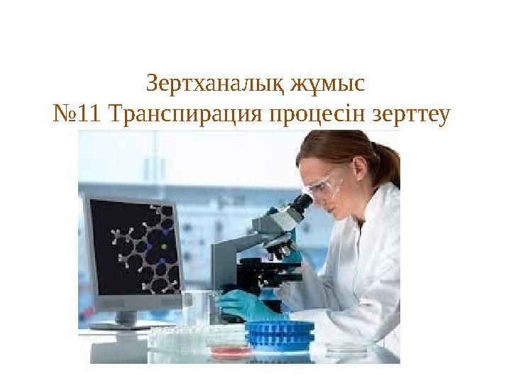 Зертханалық жұмыс № 11 Транспирация процесін зерттеу