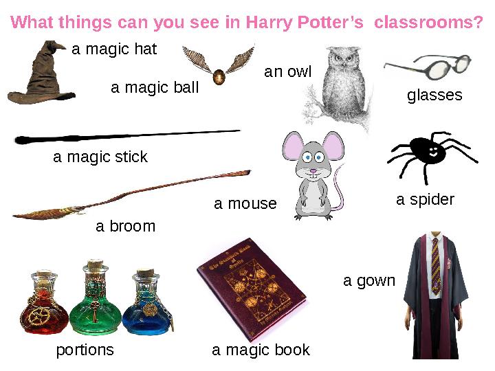 What things can you see in Harry Potter’s classrooms? a magic hat a magic ball glassesan owl a magic stick a broom a mouse a sp