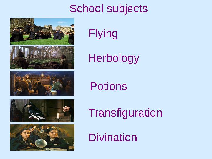 School subjects Transfiguration Divination Potions Herbology Flying