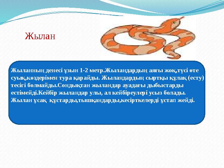 Жыланның денесі ұзын 1-2 метр.Жыландардың аяғы жоқ,түсі өте суық,көздерімен тура қарайды. Жыландардың сыртқы құлақ (есту) тес