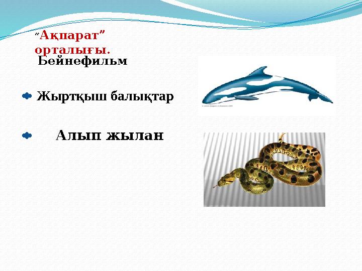 Жыртқыш балықтар Алып жылан Бейнефильм“ Ақпарат” орталығы.