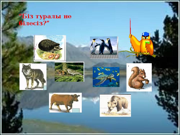 “ Біз туралы не білесіз?”