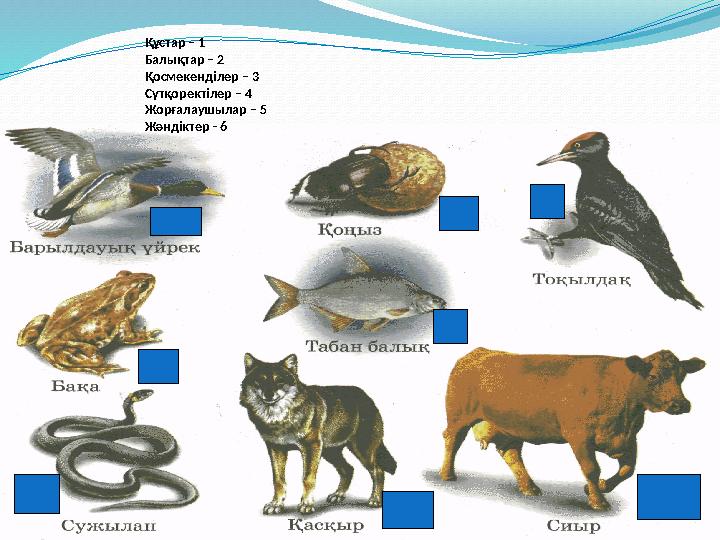 Құстар – 1 Балықтар – 2 Қосмекенділер – 3 Сүтқоректілер – 4 Жорғалаушылар – 5 Жәндіктер - 6