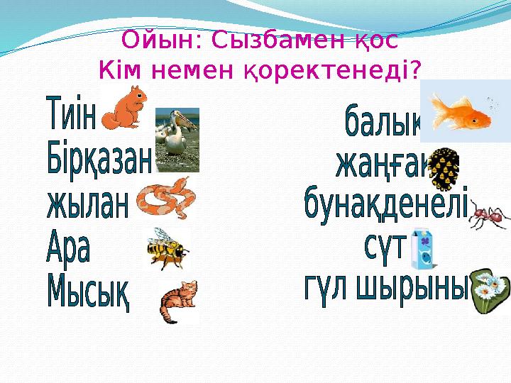 Ойын: Сызбамен қос Кім немен қоректенеді?