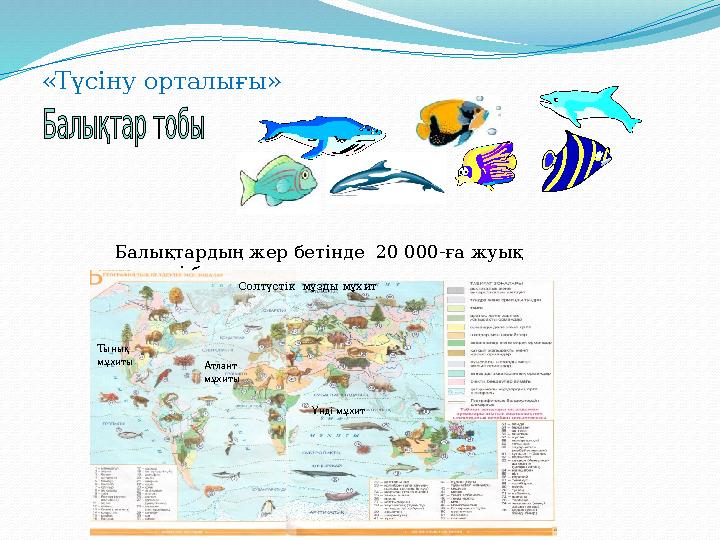 «Түсіну орталығы» Балықтардың жер бетінде 20 000-ға жуық түрлері бар. Солтүстік мұзды мұхит Үнді мұхитАтлант мұхитыТынық