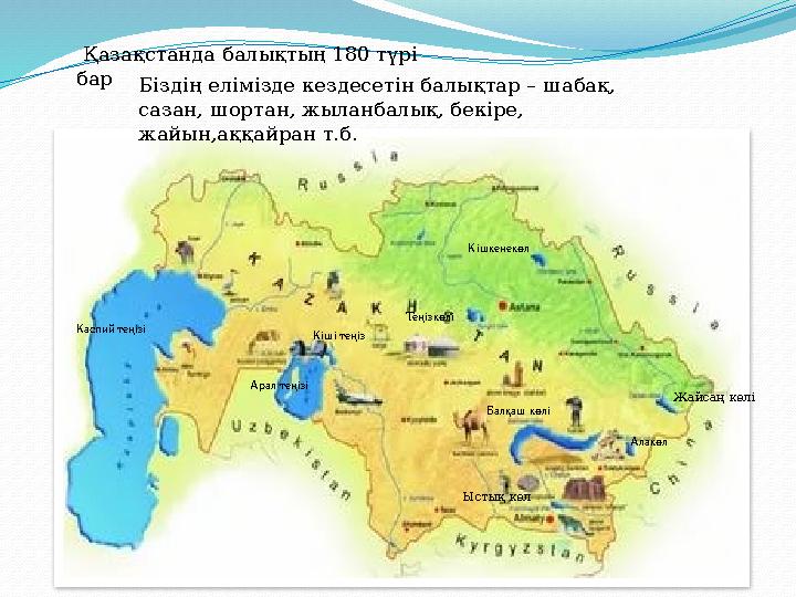 Каспий теңізі Арал теңізі Кіші теңіз Балқаш көлі Ыстық көл Алакөл Жайсаң көліТеңізкөлі КішкенекөлБіздің елімізде кездесетін балы