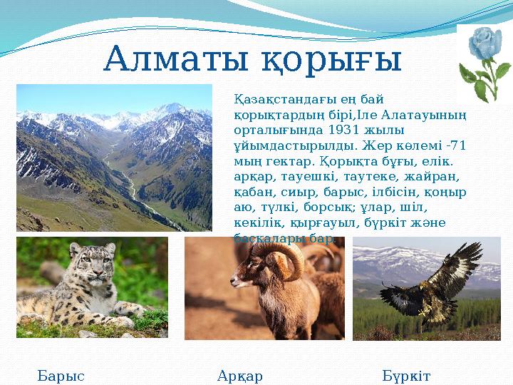 Алматы қорығы Қазақстандағы ең бай қорықтардың бірі,Іле Алатауының орталығында 1931 жылы ұйымдастырылды. Жер көлемі -71 мың