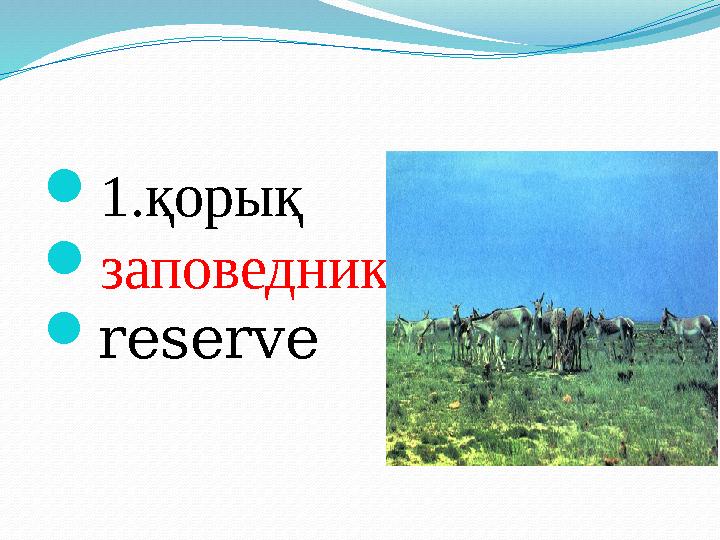  1.қорық  заповедник  reserve