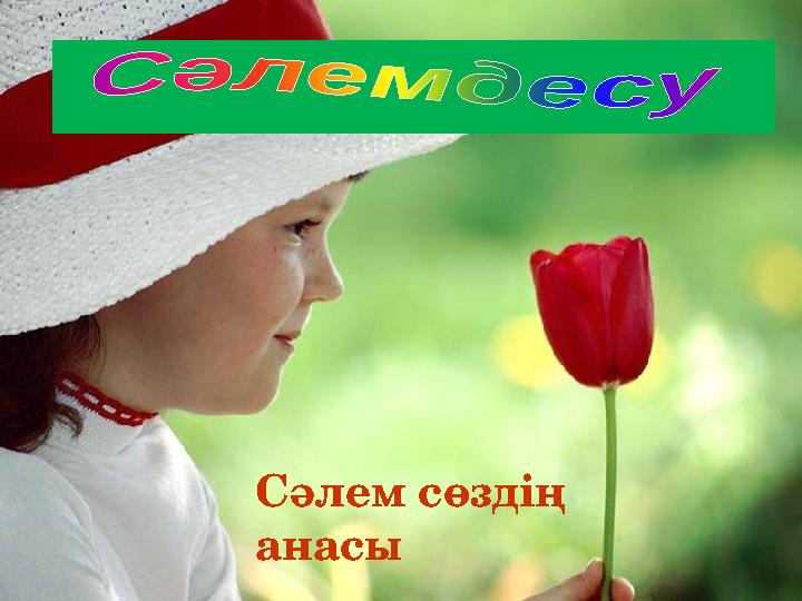 Сәлем сөздің анасы