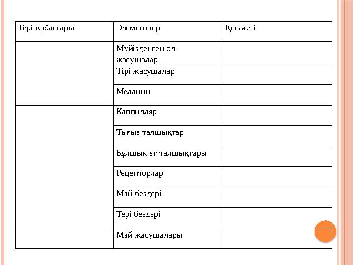 Тері қабаттары Элементтер Қызметі Мүйізденген өлі жасушалар Тірі жасушалар Меланин Каппилляр Тығыз талшықтар Бұлшық ет талшықта
