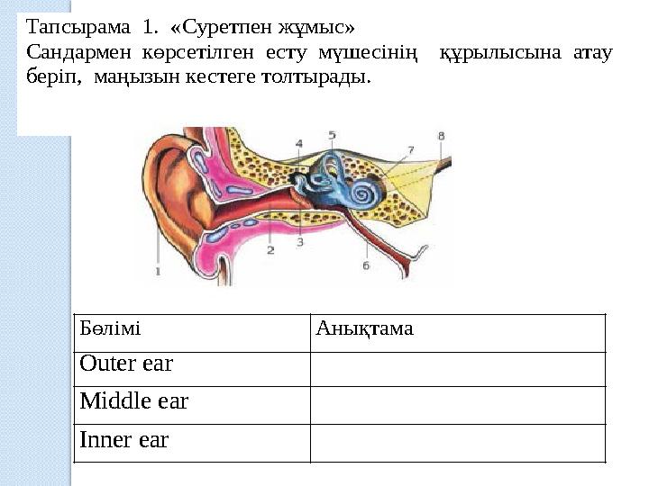 Ельцин ұшақтың шассиіне сисады - specprofit.ru сайтында Әйелдің оргазмы анальді бейне